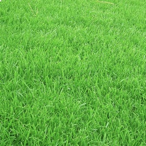 防真草绿色