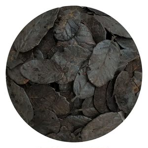 云南刺栗叶栗树叶兰花花卉植料自然发酵高温蒸汽杀虫刺栗叶约6斤