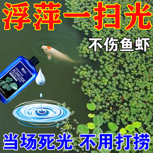 浮萍清除剂一扫光蓝藻分解酶鱼池除藻草去苔剂水产养殖水质净化剂
