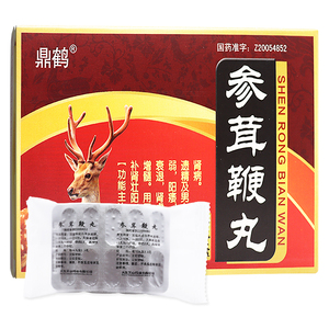 参茸鞭丸补肾壮阳治疗阳痿早泄阳萎助补阳调理男科男士男用男性男人