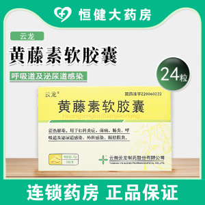 云龙黄藤素软胶囊0.