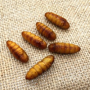 【七彩桑虫】七彩桑虫品牌,价格 - 阿里巴巴