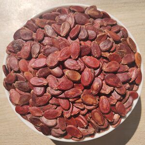 广水大悟生红瓜子铁瓜子红皮打瓜子红西瓜子特产2022新货咸味500g