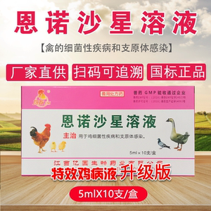 兽药恩诺沙星溶液鸡用特效鸡病液鸡眼肿禽用白痢大肠杆菌鸡开口药
