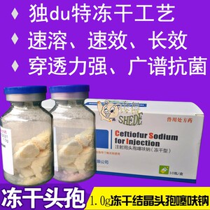 注射用头孢噻呋钠兽用头包纯冻干粉兽用猪犬猫狗牛羊头饱