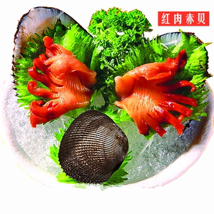 鲜活红肉赤贝刺身专用北极贝日料2-3只每斤,3斤包邮