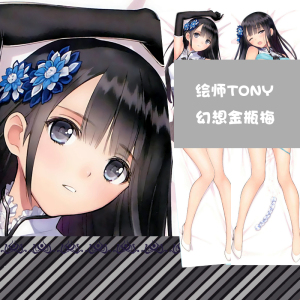 边想绘瓶梅瓶g儿等身抱枕金师tony金莲春梅周幻枕套长枕头宅男靠