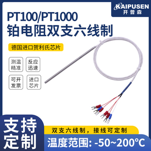 pt100铂热电阻防水双支热电阻六线制温度传感器WZPM2-001轴瓦测温