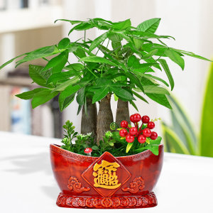 元宝造型招财喜庆花盆摆件陶瓷透气绿植多肉组合盆栽桌面玄关摆件