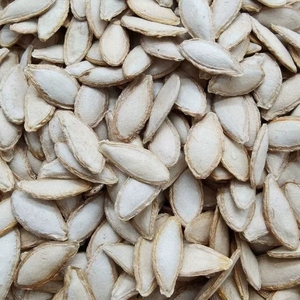 毛边生南瓜子 新货 农家自种原味带壳生的土南瓜籽 大颗粒2斤
