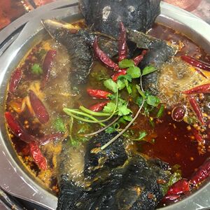 河南商丘特产川味烤鲶鱼麻辣鲜香清江鱼黑鱼红鲤鱼烤鱼