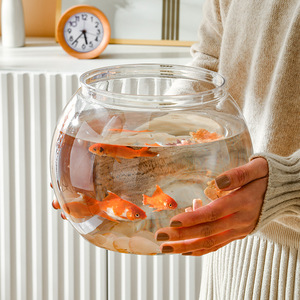 透明塑料桌面摆件乌龟缸办公室观赏鱼缸家用圆球形水培植物金鱼缸