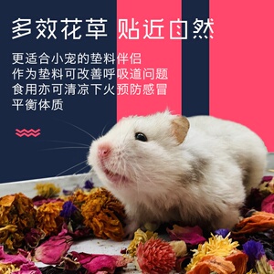 新品仓鼠垫料除臭花草夏季金丝熊d花瓣纯花干花垫材草木屑仓鼠造