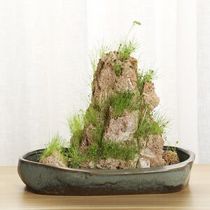 【水石盆景吸水养鱼盆】水石盆景吸水养鱼盆品牌,价格 - 阿里巴巴