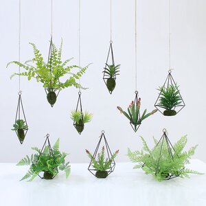 吊挂植物屋内装饰墙面挂件宿舍装饰悬挂绿植物小盆栽垂吊a吧台吊