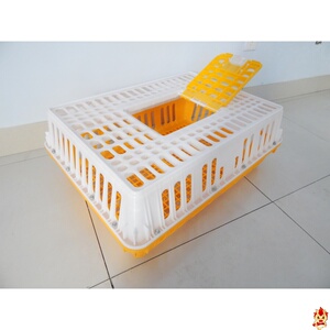 2222周转成鸡鸡笼周转b鸡笼双马箱筐q鹅家禽~笼子塑料笼鸽子运输