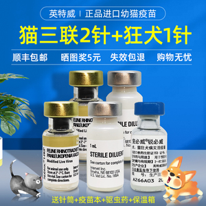 英特威猫三联猫疫苗荷兰进口一套自打猫咪狂犬疫苗幼猫3针正品