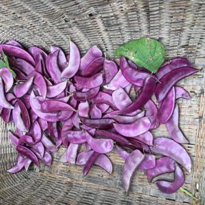 000人付款淘宝农家自种新鲜蔬菜 露天紫扁豆农家新鲜