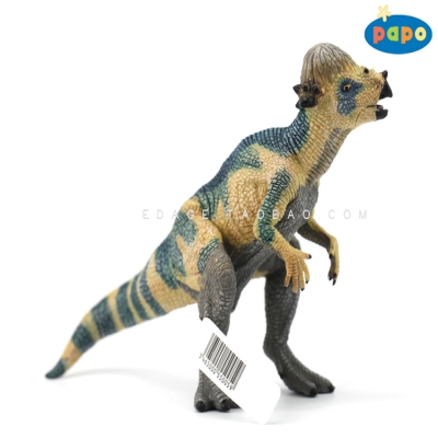 22法国papo仿真恐龙r动物模型玩具 史前侏罗纪  55005小肿头龙a.