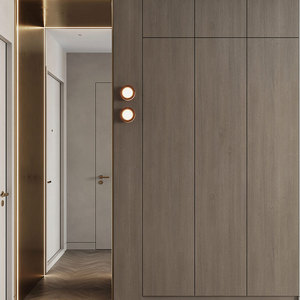 双饰面柜门实木多层板材橱柜整体全屋定制做衣柜鞋柜e0级环保门板