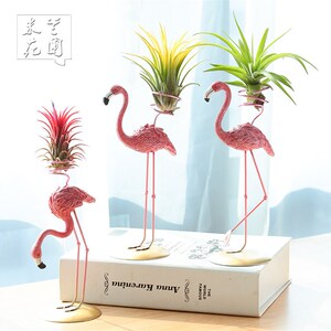 空气凤梨无土植物火烈鸟摆件创意家居室n内绿植盆栽礼品礼物