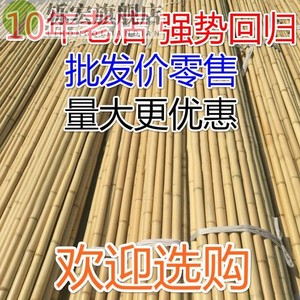 2搭架毛竹杆插地菜园围栏晾衣竹子插接支撑杆子竹竿蚊帐支架装修