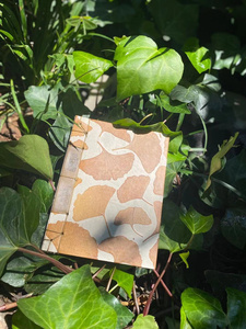 222d2银杏叶花瓣东巴纸本 水彩手账本 手工复古清新 t丽江直发 a.