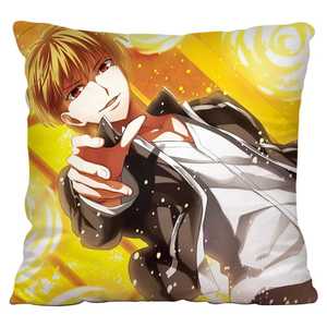 枕芯】fate吉尔伽美什英雄王金闪闪二次元q抱枕头靠枕动漫定制