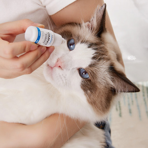 600人付款淘宝埃尔金omnix眼倍康犬猫清洁止痒去泪痕充血红肿狗滴眼液