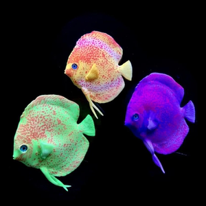 假鱼仿真会游鱼缸造景装饰品仿真鱼硅胶夜光小金鱼游动的观赏鱼