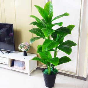 假绿植状元树包棕大叶绿萝大型落地盆栽客厅仿真绿植塑料假花摆
