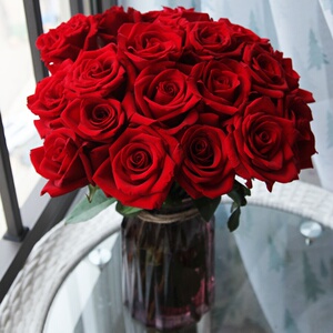 22i22a级红玫瑰卡k罗拉云南昆明斗南鲜花基地直发直批家用真花水