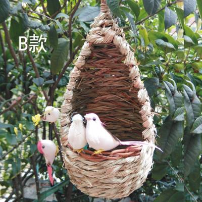 鸽子软窝