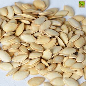 童年记南瓜子2500g独立小包装2斤5斤装炒货童年记忆熟南瓜子包邮