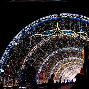 厂家定制大型亮化灯光秀长廊景观灯梦幻户外心形拱门灯光节造型灯