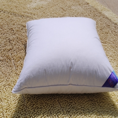 超柔软抱枕靠垫羽绒棉