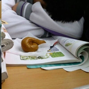 粑粑玩具恶心一坨屎仿真假大便创意网红恶作剧整人道具奇葩礼物臭