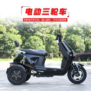 2021不倒翁电动三轮车成人d男女家用代步车外卖电瓶车电摩可上牌