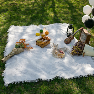 野餐垫桌布白色春游户外露营ins法式沙滩毯加厚拍照简约高级便携