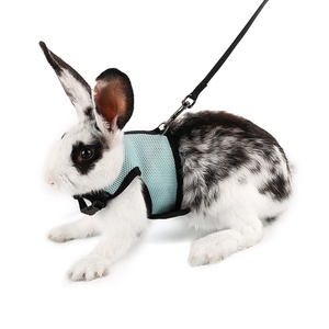 新品卡诺兔子牵引绳兔绳兔背t带兔子链子遛兔绳胸背网格布