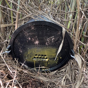 诱蜂桶圆桶黑桶带盖招蜂桶野外捕蜜蜂收蜂引蜂土蜂中蜂全套捕捉器