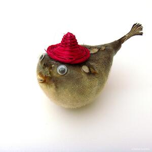 河豚鱼气鼓鱼动物标本装饰挂件 车饰墙饰 礼物展览摆件海洋生物