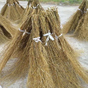 楠竹枝装饰竹竿竹枝条竹屏风竹枝篱笆竹栅栏庭院围栏屋顶装饰竹子