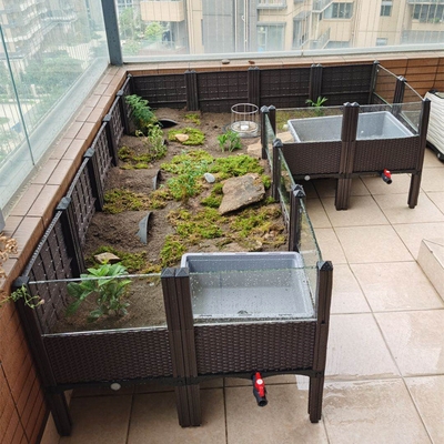 养龟专盒壳缸饲境用黄半环龟安缘安徽殖闭缘台缘养水殖黄缘龟箱