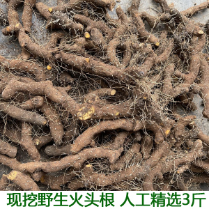 火藤根 黄姜种盾叶薯蓣农村土特产黄姜  新鲜生火头根3斤装