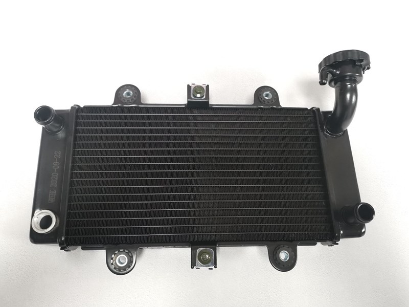 新品适用于地平线大跑车水箱350cc摩托车水箱大地250双缸i水冷s款