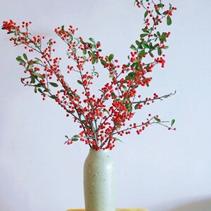 沙棘火把果云南吉祥果真花水培冷链保鲜包邮配送