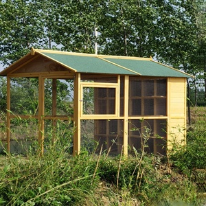 户外大型鸽笼赛鸽棚鸽舍防雨鸽k子窝家养12位鸽屋鸟窝鸟笼木鸽子