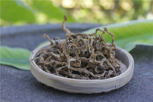 22特产新款野生金不换干20g中草药地不容山乌龟海南苗妹苗j方泡a.