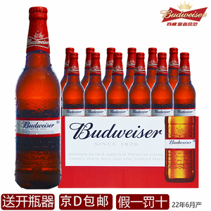 百威啤酒500ml12瓶